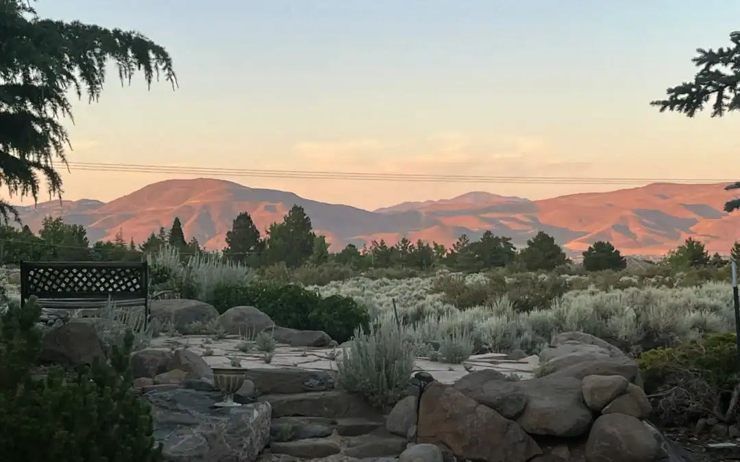10 Expert Tips for Moving from California to Reno