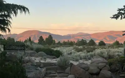 10 Expert Tips for Moving from California to Reno