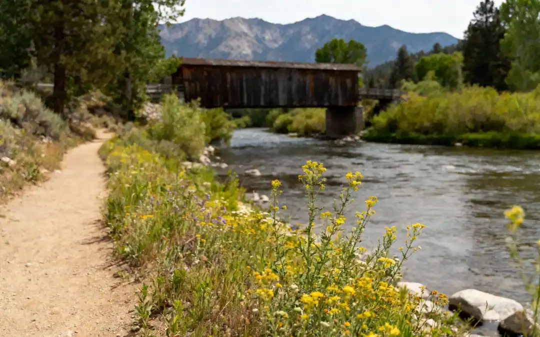 Living in Sierraville, CA: A Complete Guide for Newcomers